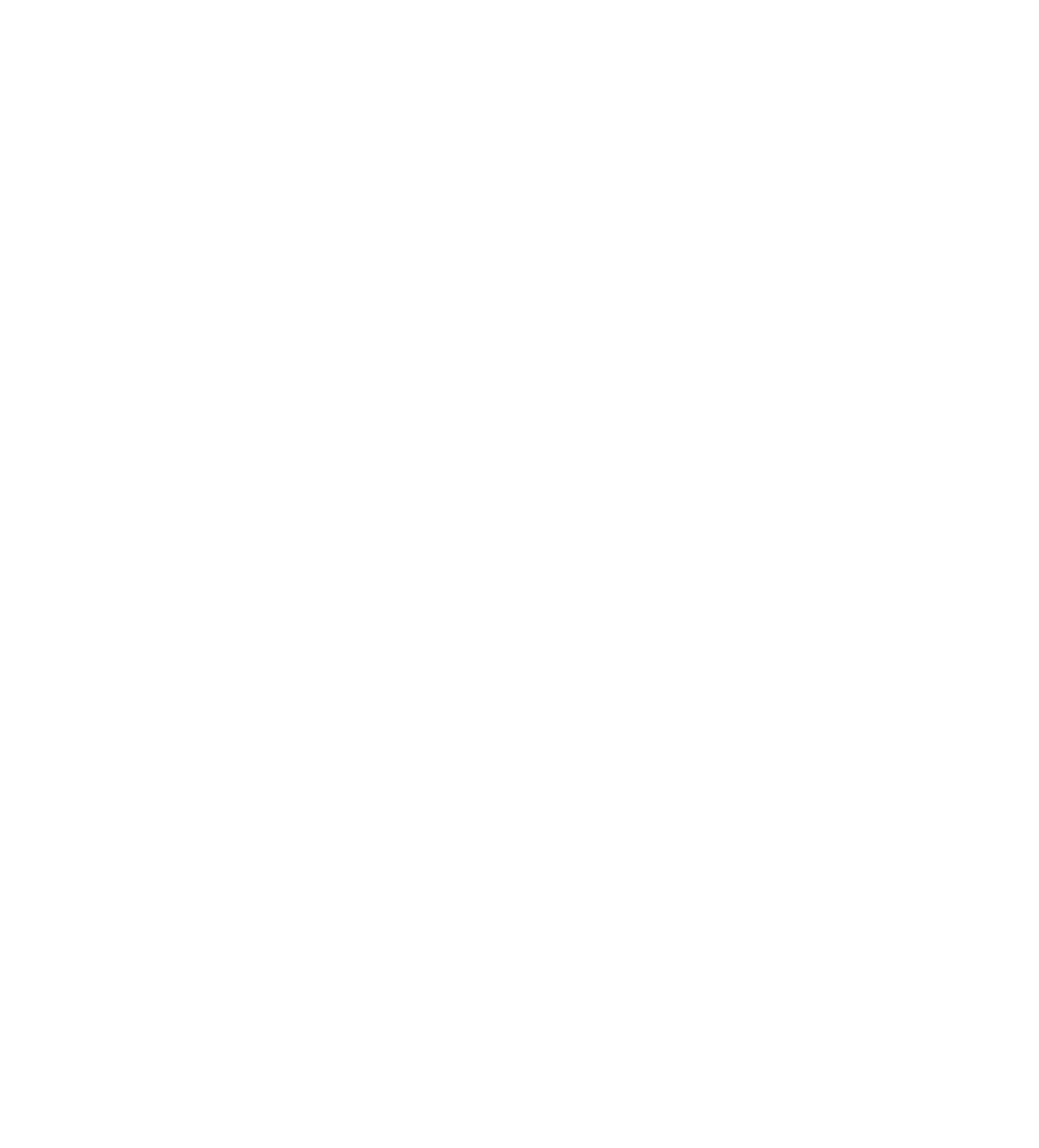 Technic Pro